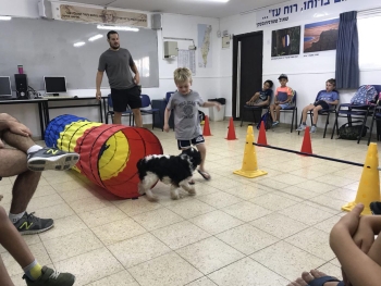 יום הולדת אילוף כלבים אתר לגדול